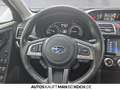 Subaru Forester Subaru Forester 2.0i Platinum Bronze - thumbnail 9