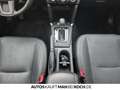 Subaru Forester Subaru Forester 2.0i Platinum Bronze - thumbnail 10
