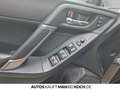 Subaru Forester Subaru Forester 2.0i Platinum Bronze - thumbnail 13