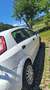 Fiat Punto Punto 55 Sole Weiß - thumbnail 3