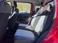 Fiat Panda CITY CROSS 1.0 FIREFLY HYBRID Rosso - thumbnail 13