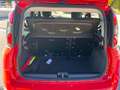 Fiat Panda CITY CROSS 1.0 FIREFLY HYBRID Rosso - thumbnail 14