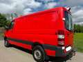 Mercedes-Benz Sprinter 315 CDI 4X4 Automat. L2 AHK Scheckh.  KD. neu!! Rood - thumbnail 4