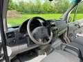 Mercedes-Benz Sprinter 315 CDI 4X4 Automat. L2 AHK Scheckh.  KD. neu!! Rood - thumbnail 8