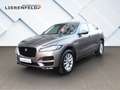 Jaguar F-Pace 30d Prestige AWD Leder Panorama Grau - thumbnail 1