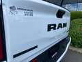 Dodge RAM 1500 CREW CAB BIGHORN NIGHT EDITION 2025 Blanc - thumbnail 23