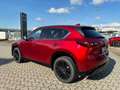 Mazda CX-5 2.2L Skyactiv-D 150 CV 2WD Homura AT Rosso - thumbnail 2