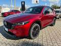 Mazda CX-5 2.2L Skyactiv-D 150 CV 2WD Homura AT Rosso - thumbnail 1