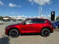 Mazda CX-5 2.2L Skyactiv-D 150 CV 2WD Homura AT Rosso - thumbnail 5