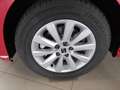 SEAT Ibiza IBIZA ROAD EDITION 1.0 TSI AHZV-VORBER. SITZH. Rojo - thumbnail 4