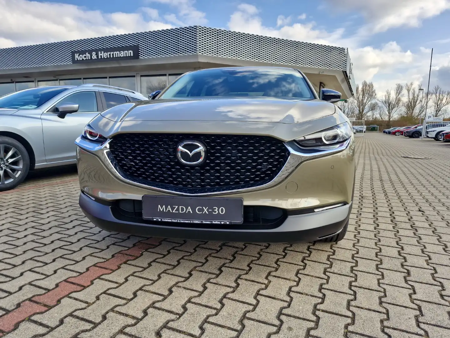 Mazda CX-30 2.5L e-SKYACTIV G 140ps HOMURA Gris - 2