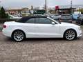 Audi A5 Cabriolet 2.0 TDI S-Line/Navi Weiß - thumbnail 4