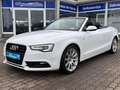 Audi A5 Cabriolet 2.0 TDI S-Line/Navi Weiß - thumbnail 9