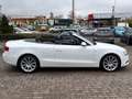 Audi A5 Cabriolet 2.0 TDI S-Line/Navi Weiß - thumbnail 11