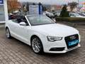 Audi A5 Cabriolet 2.0 TDI S-Line/Navi Weiß - thumbnail 10