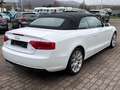 Audi A5 Cabriolet 2.0 TDI S-Line/Navi Weiß - thumbnail 5