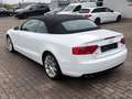 Audi A5 Cabriolet 2.0 TDI S-Line/Navi Weiß - thumbnail 7