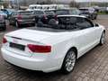 Audi A5 Cabriolet 2.0 TDI S-Line/Navi Weiß - thumbnail 12