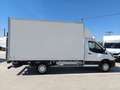 Ford Transit FT 350 L3 Chasis Trend 130 Blanco - thumbnail 13