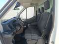 Ford Transit FT 350 L3 Chasis Trend 130 Blanco - thumbnail 15