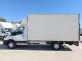 Ford Transit FT 350 L3 Chasis Trend 130 Blanco - thumbnail 7