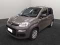 Fiat Panda III 2016 - 1.2 Easy s&s 69cv my19 Grau - thumbnail 1