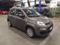 Fiat Panda III 2016 - 1.2 Easy s&s 69cv my19 Grau - thumbnail 4