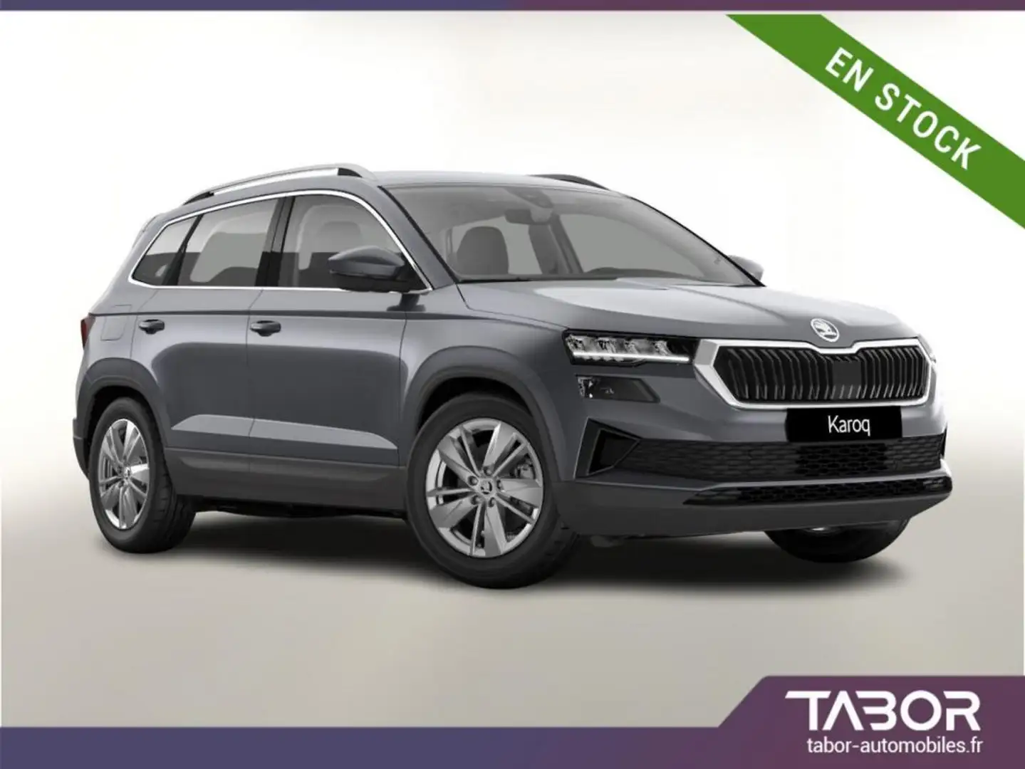Skoda Karoq TSI 150 DSG Selection LED ACC GPS Gris - 1