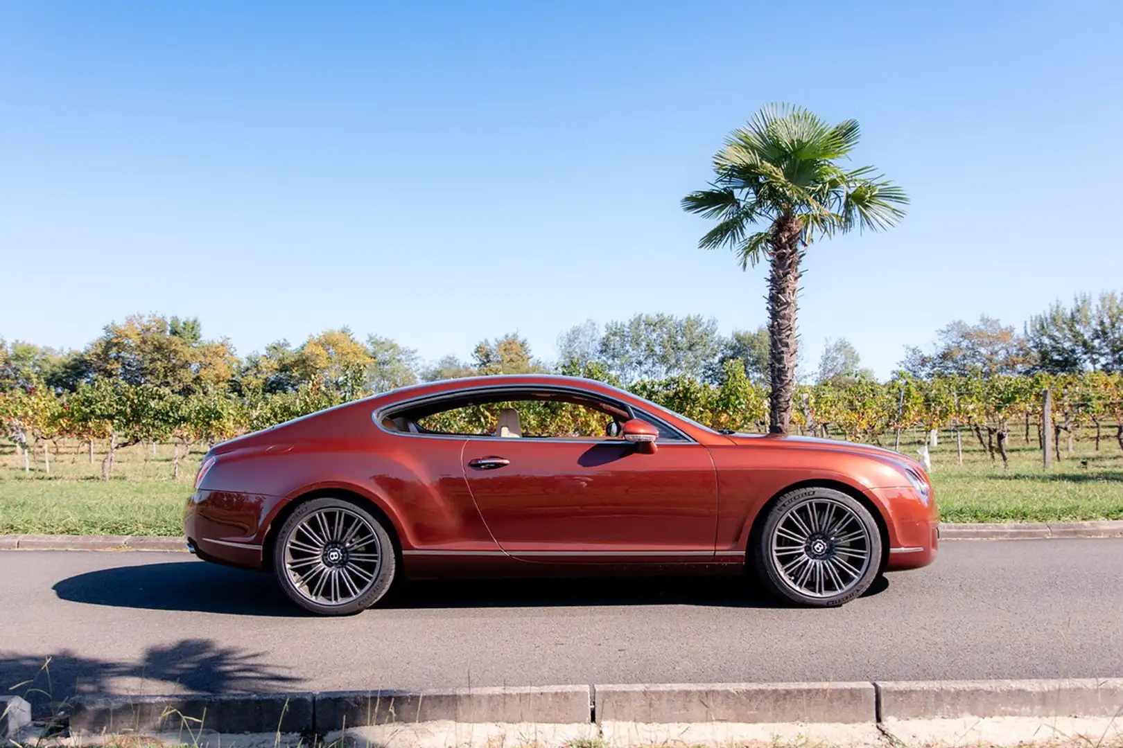 Bentley Continental GT Speed Rouge - 2