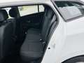 Renault Megane Megane III 2008 SporTour 1.9 dci Attractive 130cv Bianco - thumbnail 8