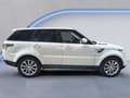 Land Rover Range Rover Sport 3.0 TDV6 HSE 249 CV Weiß - thumbnail 7