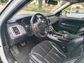 Land Rover Range Rover Sport 3.0 TDV6 HSE 249 CV Weiß - thumbnail 10