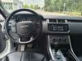 Land Rover Range Rover Sport 3.0 TDV6 HSE 249 CV Weiß - thumbnail 11