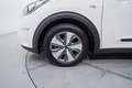 Kia Niro 1.6 HEV Concept Blanco - thumbnail 11