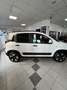Fiat Panda Panda 1.0 firefly hybrid Cross s Bianco - thumbnail 4