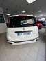 Fiat Panda Panda 1.0 firefly hybrid Cross s Bianco - thumbnail 3