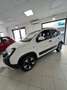 Fiat Panda Panda 1.0 firefly hybrid Cross s Bianco - thumbnail 2