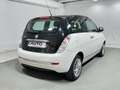 Lancia Ypsilon 1.2 69 CV 5 porte S&S Platinum Biały - thumbnail 5