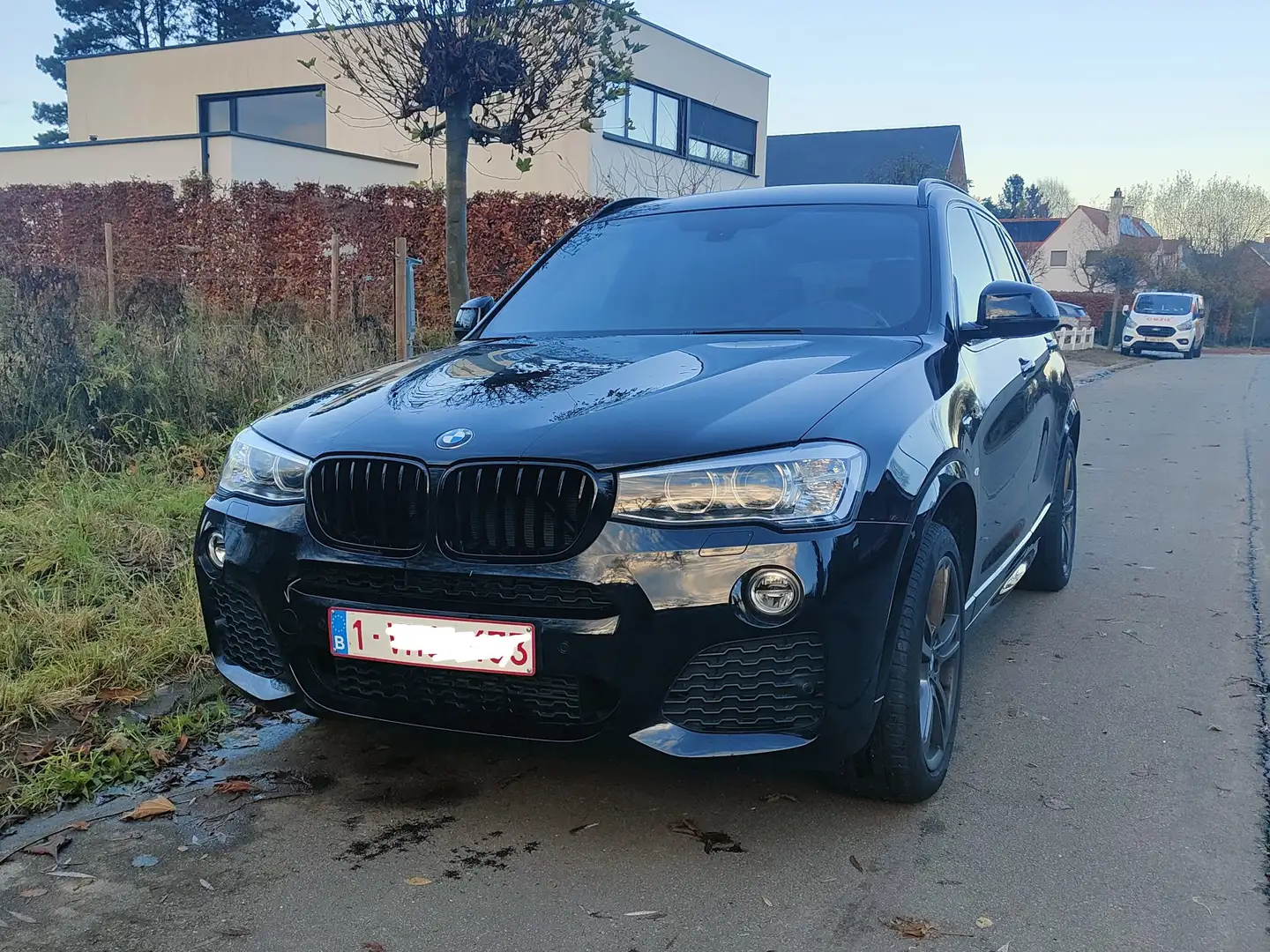 BMW X3 2.0 dA xDrive20 Blauw - 1