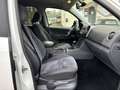 Volkswagen Amarok Highline DoubleCab 4Motion Weiß - thumbnail 12
