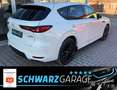 Mazda CX-60 Homura*AWD*NAVI*LED*LHZ* Weiß - thumbnail 45