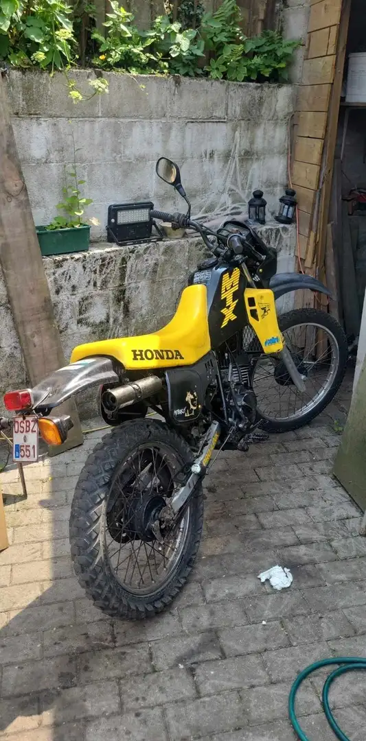 Honda MTX 50 Jaune - 2