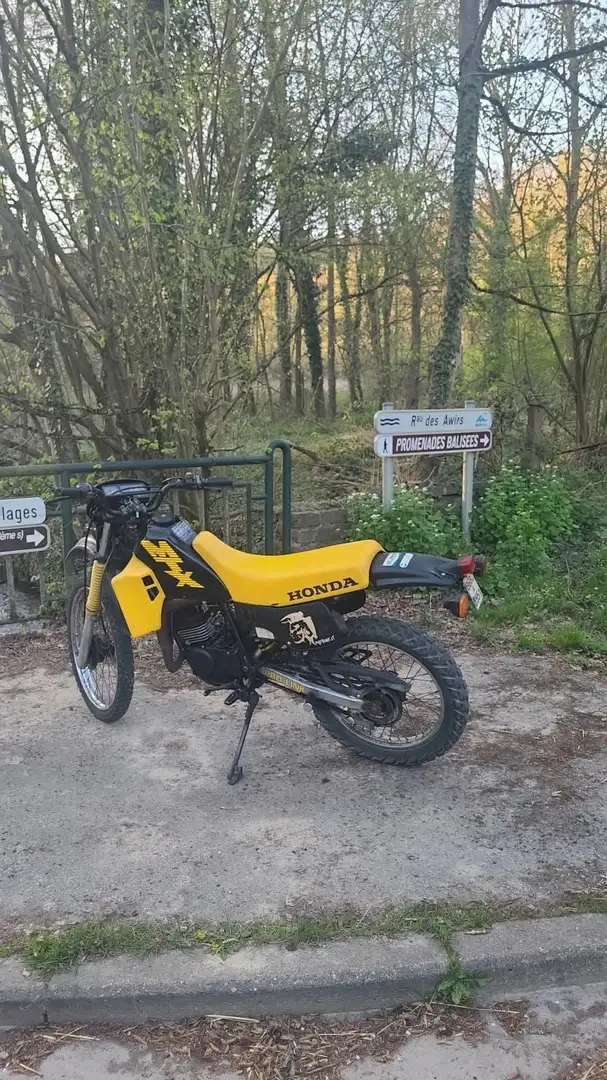Honda MTX 50 Jaune - 1