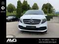 Mercedes-Benz V 250 V 250 d 4MATIC Kompakt Blanc - thumbnail 6