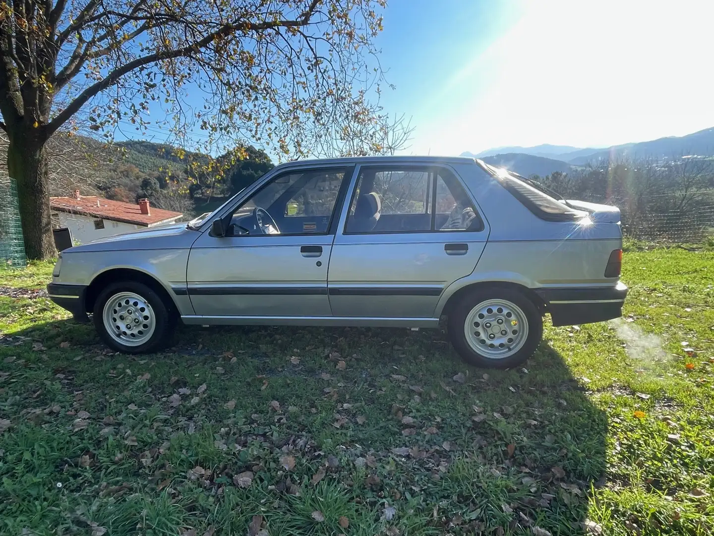 Peugeot 309 309 1.9 GT Silber - 2