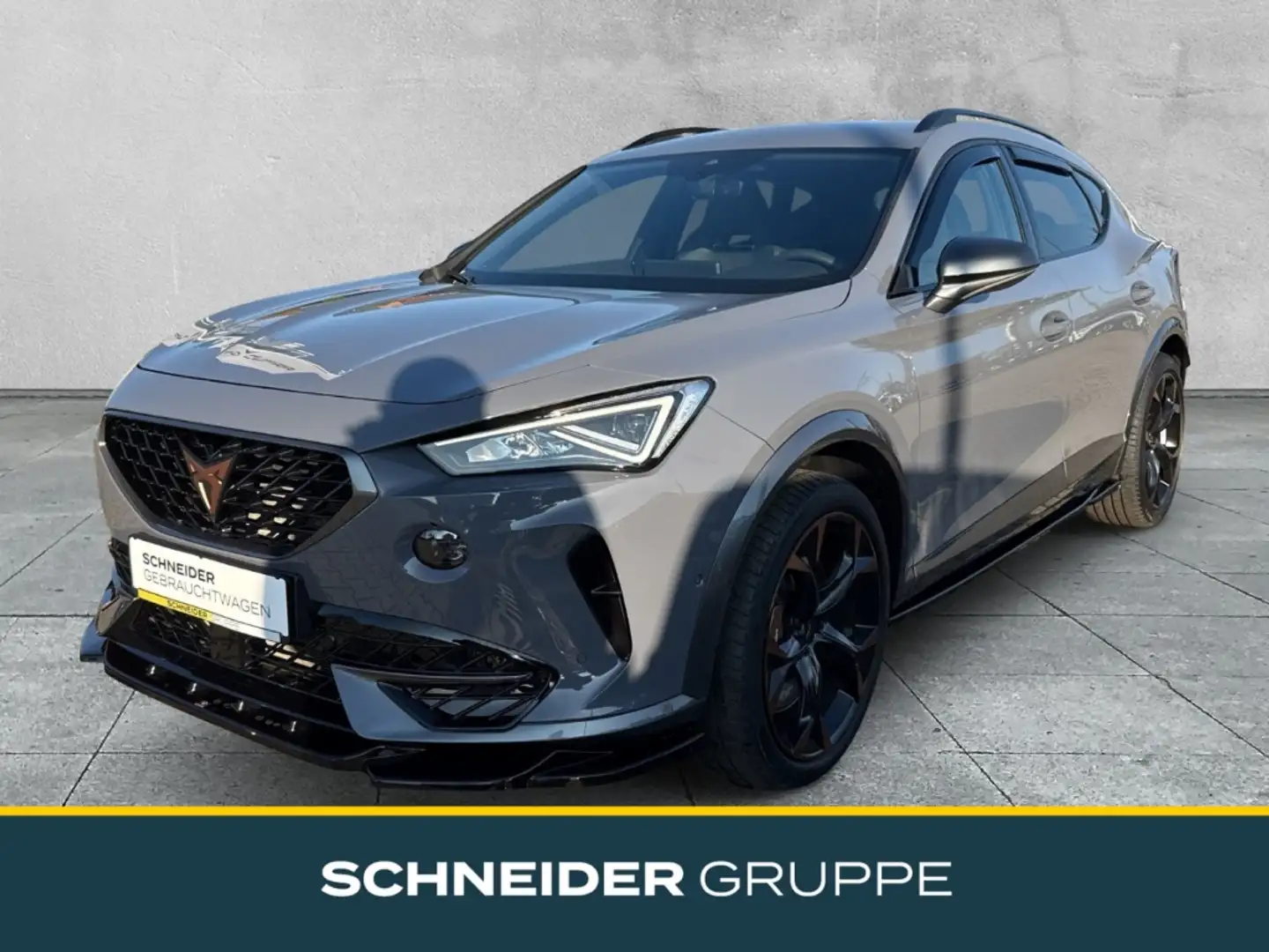 CUPRA Formentor 2.0 TSI 4 DRIVE VZ ABT+BEATS+SHZ+PDC Grau - 1