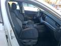 Skoda Octavia 2.0 Tdi 116 Dsg Business Blanc - thumbnail 11