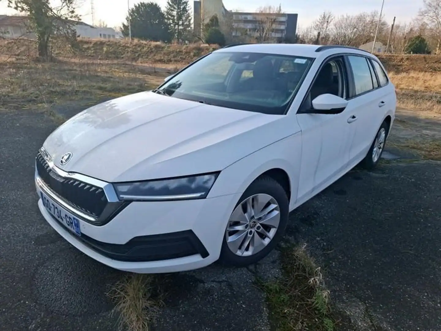 Skoda Octavia 2.0 Tdi 116 Dsg Business Blanc - 1