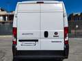 Fiat MH2 2.3 M-JET FURGONE PASSO MEDIO TETTO ALTO 3PTI Bianco - thumbnail 4