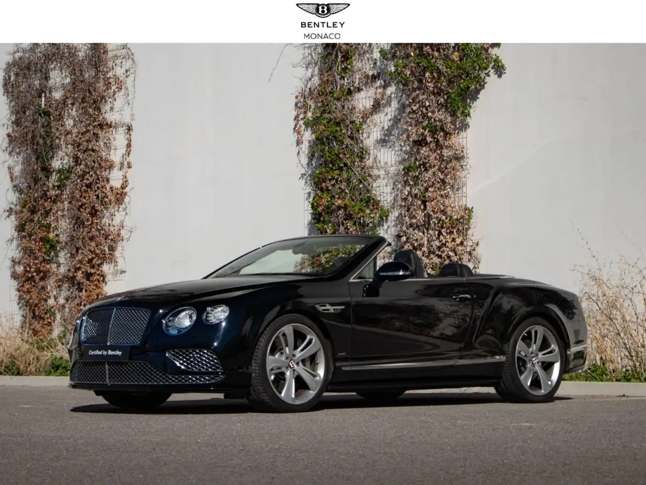 Bentley Continental GTC